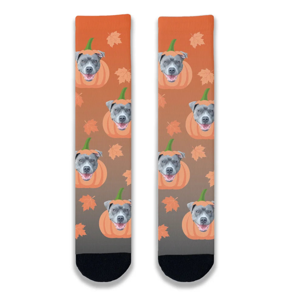 Halloween Dog Pumpkin Personalised Socks